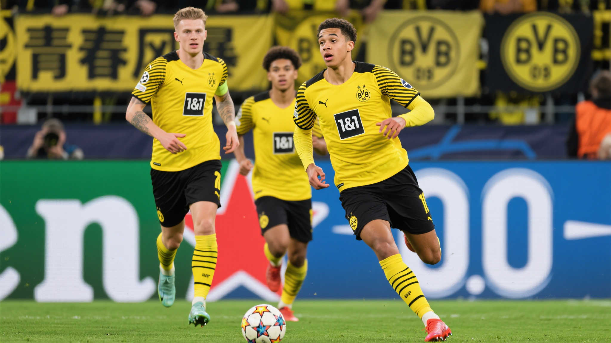 开云体育官网介绍