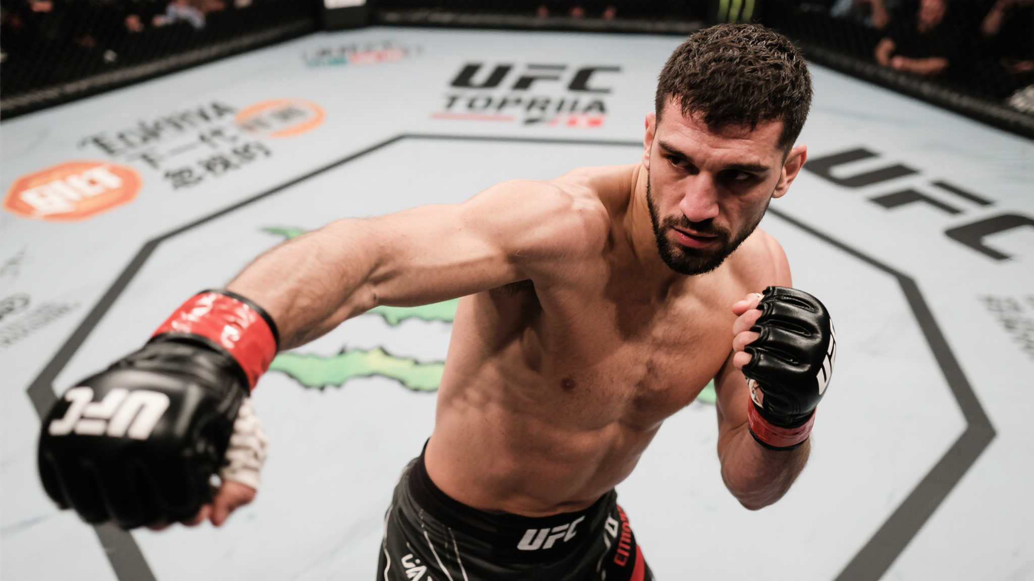 开云体育官网介绍