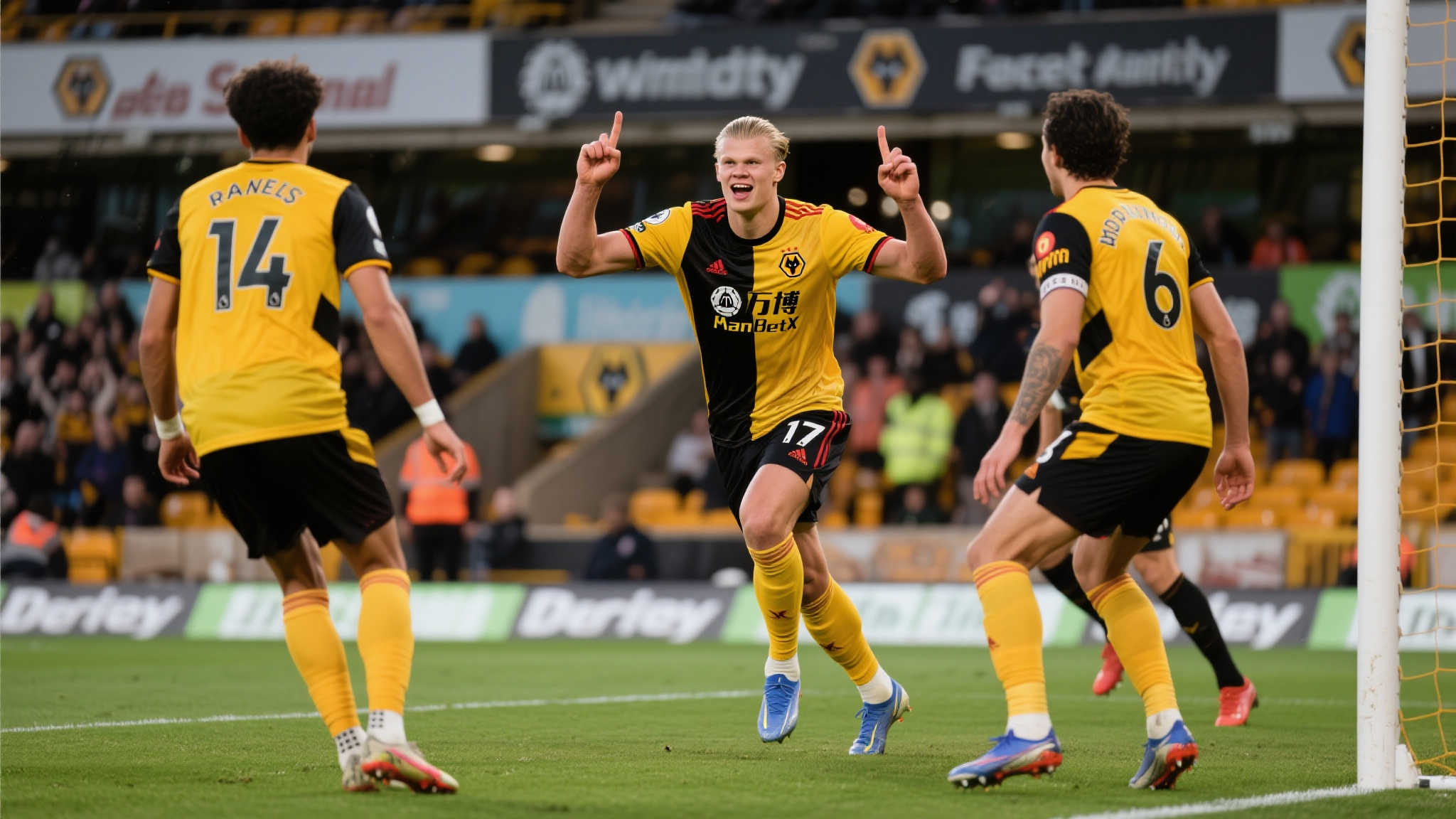 开云体育官网介绍