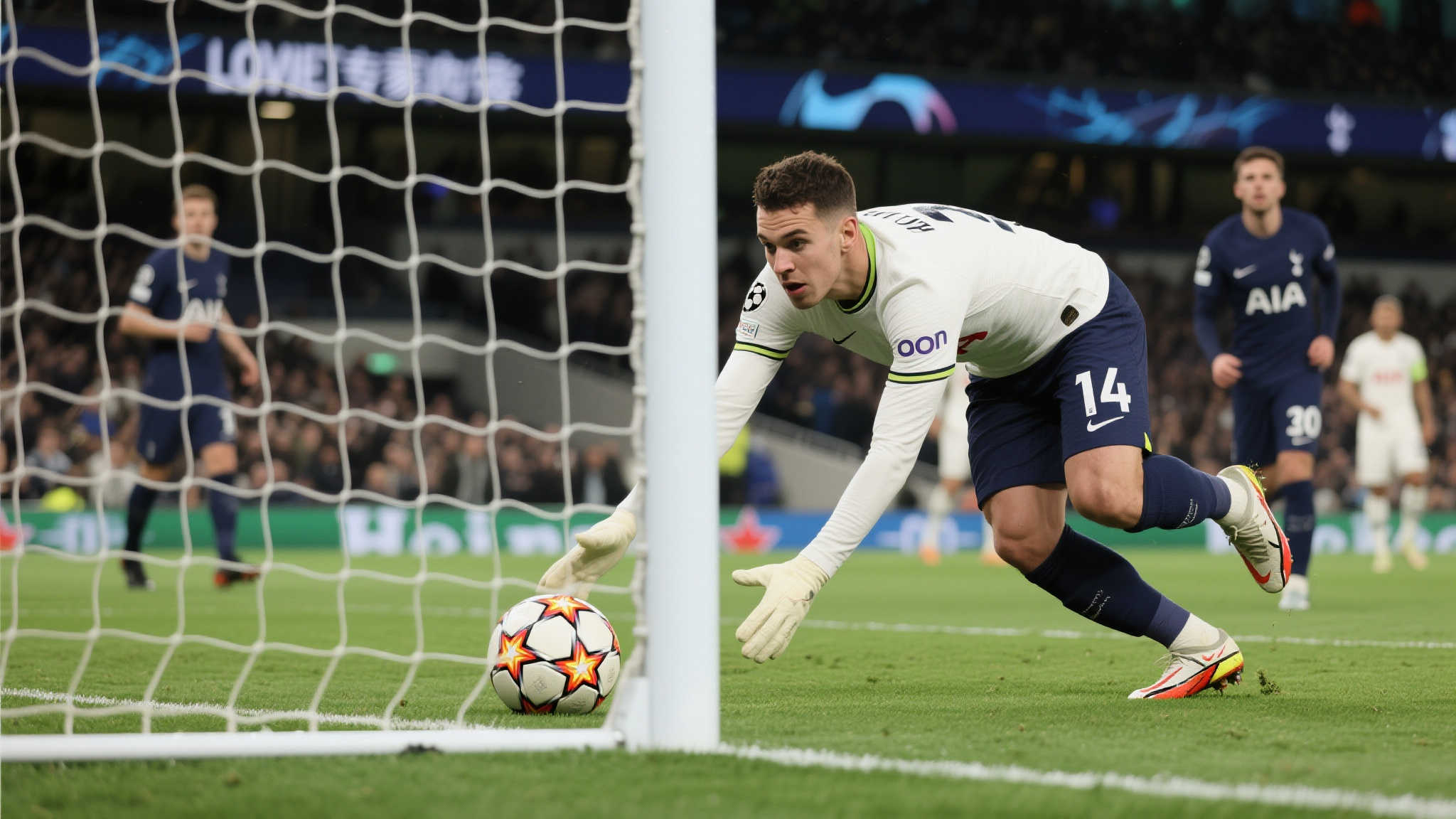 开云体育官网介绍